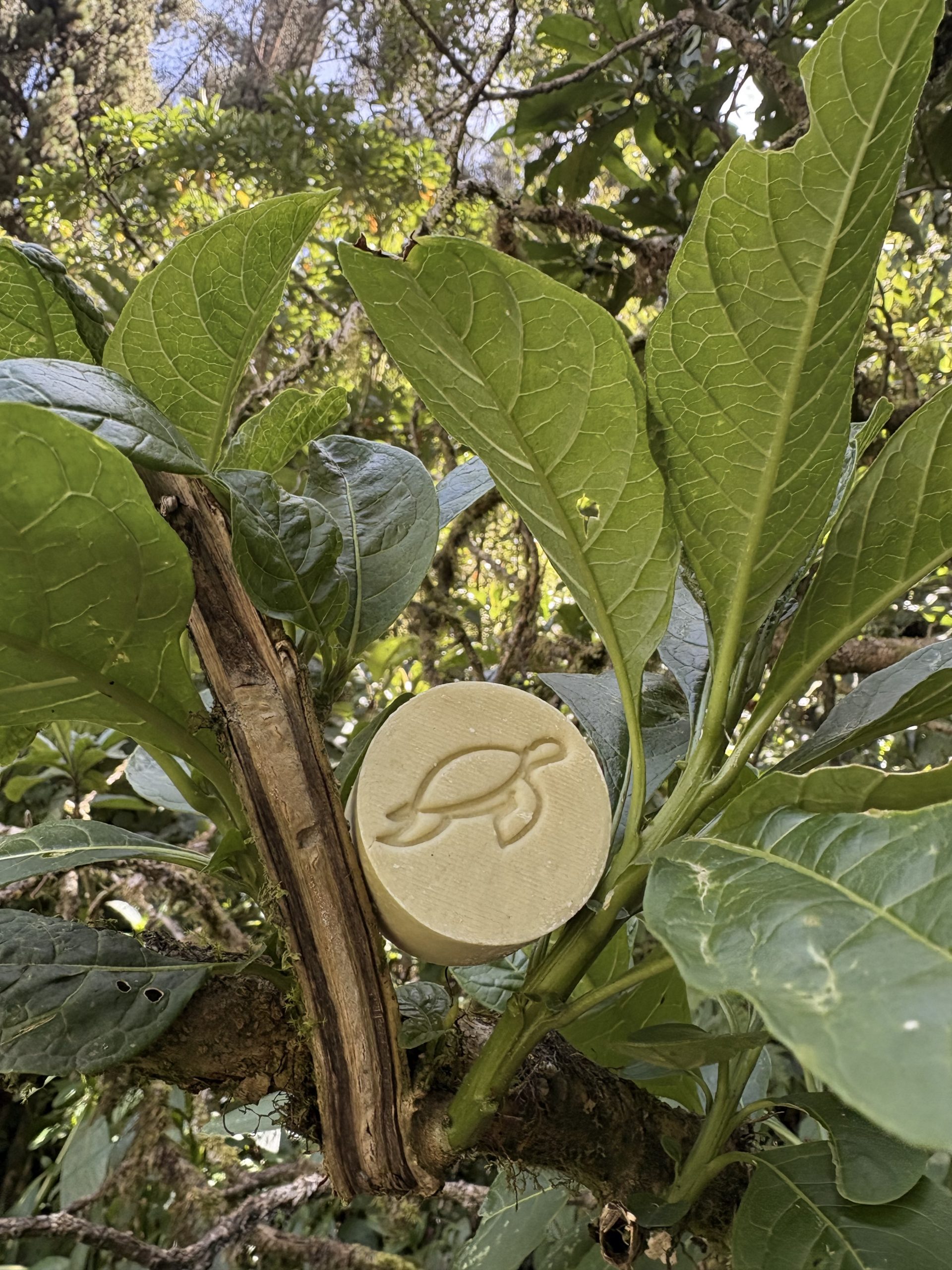 Shampoo sólido de maracuyá – 25g - Imagen 4