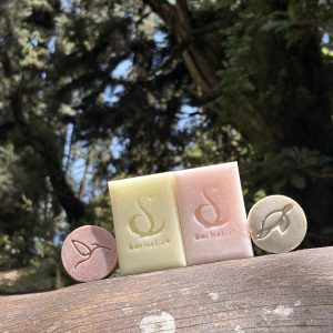 Acondicionador sólido de mango – 20g